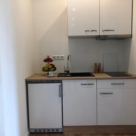 Appartement Schweizer Hof *